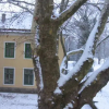 Отель Mater Salvatoris House, фото 1