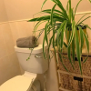 Отель Immaculate 3-bed House With Private Secure Garden, фото 21