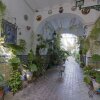 Отель Apartamento Triana Patio Suite, фото 18