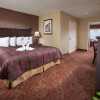 Отель Castle Inn and Suites, фото 4