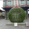 Отель California International Hotel (加州国际大酒店), фото 1