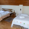 Отель Rustic Argesean, фото 7