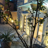 Отель Holiday house Tanja - with pool : Tucepi, Riviera Makarska, фото 13
