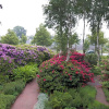 Отель B&B De Zeven Berken, фото 11