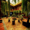 Отель Dream Garden Lodge, фото 13