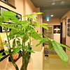 Отель HOSTEL Kyoto Gion, фото 11