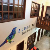 Отель BlueBird Bed and Breakfast, фото 14