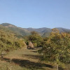 Отель Cabana Maduta, фото 5