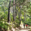 Отель Gangneung Bow The Way Guest House, фото 8