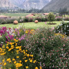 Отель Inkasaire Lodge, фото 36