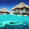 Отель The Westin Bora Bora Resort & Spa, фото 14