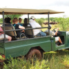 Отель Sondela Nature Reserve & Spa Country House, фото 16