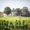 Отель Le Relais De Franc Mayne Saint Emilion, фото 15