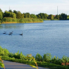 Отель Vineta-App-03, фото 15