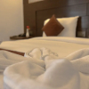 Отель Mourya Hotel Pvt. Ltd., фото 9