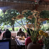 Отель Trang An Spring Garden Homestay, фото 34