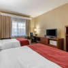 Отель Comfort Suites, фото 4