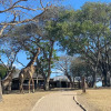 Отель Muluwa Lodge, фото 33