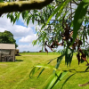 Отель Glamping Thorpe, фото 18