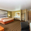 Отель Super 8 by Wyndham Ottawa, фото 4