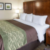 Отель Comfort Inn & Suites West - Medical Center, фото 3