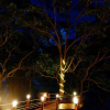 Отель Phayamas Private Beach Resort and Island Brew - Adults Only, фото 33