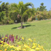 Отель Gites Couleur Caraibes, фото 20