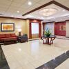 Отель Holiday Inn Youngstown South, an IHG Hotel, фото 2