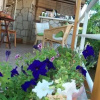 Отель Munevver Abla Guesthouse, фото 10