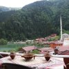 Отель Uzungol Adiloglu Apart, фото 14