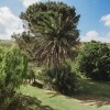 Отель Country Cottage in the Overberg, фото 23