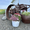 Отель Guesthouse Bægisá, фото 17