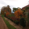 Отель Pierrepoint Bed & Breakfast, фото 9