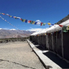 Отель TIH The Norling Camp - Pangong, фото 8