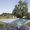 Отель Villa Bacco, фото 15