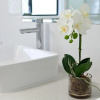 Отель Azure Guest House, фото 10