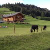 Отель Agritur Ciasa Dò Parè, фото 8