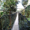 Отель Obudu Mountain Resort, фото 9