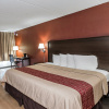 Отель Red Roof Inn Cortland, фото 13