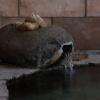 Отель Tabist Izu Atagawa Onsen Hotel Gyokuryu, фото 32