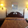 Отель Thunderbird Motel, фото 4