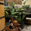 Отель Central Old Town Cottage, фото 50