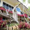 Отель Parai Beach Resort Telengria, фото 11