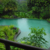 Отель Sarapiquis Rainforest Lodge, фото 9