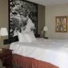 Отель Econo Lodge Inn & Suites, фото 2