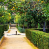 Отель Skyline Sorrento - Top Floor Apartment With Views in the Heart of Sorrento, фото 13