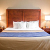 Отель Comfort Inn & Suites, фото 4