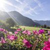 Отель Moiklerhof Holiday Home in Ramsau im Zillertal, фото 13