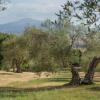 Отель Old country mansion in the heart of Val d'Orcia. Luxury Villa with Pool, AC, WIFI-VILLA ANTICA DIMOR, фото 16