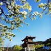 Отель Dachaoyang Shancheng Hotel, фото 14